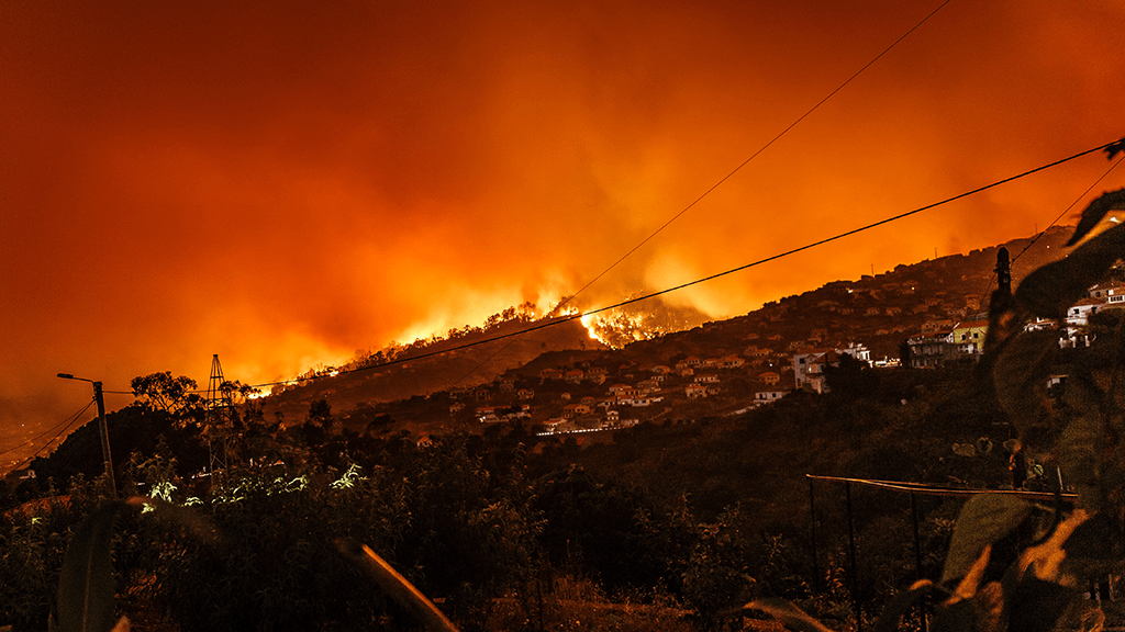 Canada and the United States to Enhance Cross-Border Cooperation in Fighting Wildfires.