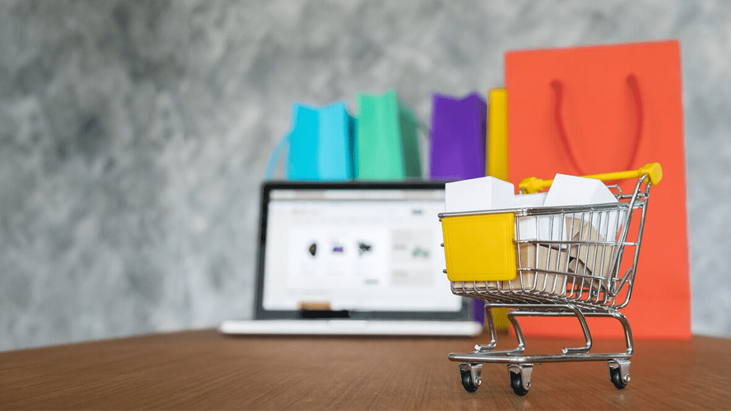 Exploring the Effect of Traffic Sources on E-commerce Revenue.