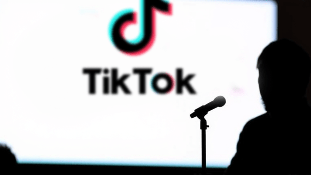 TikTok Ban Debate in the U.S.